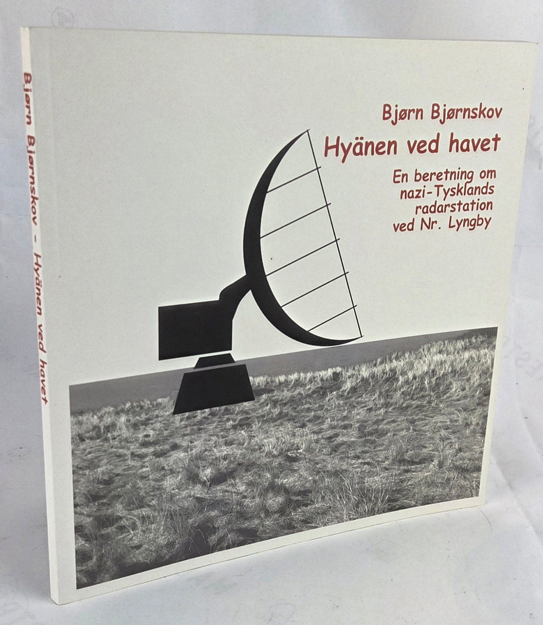 Hyänen ved havet