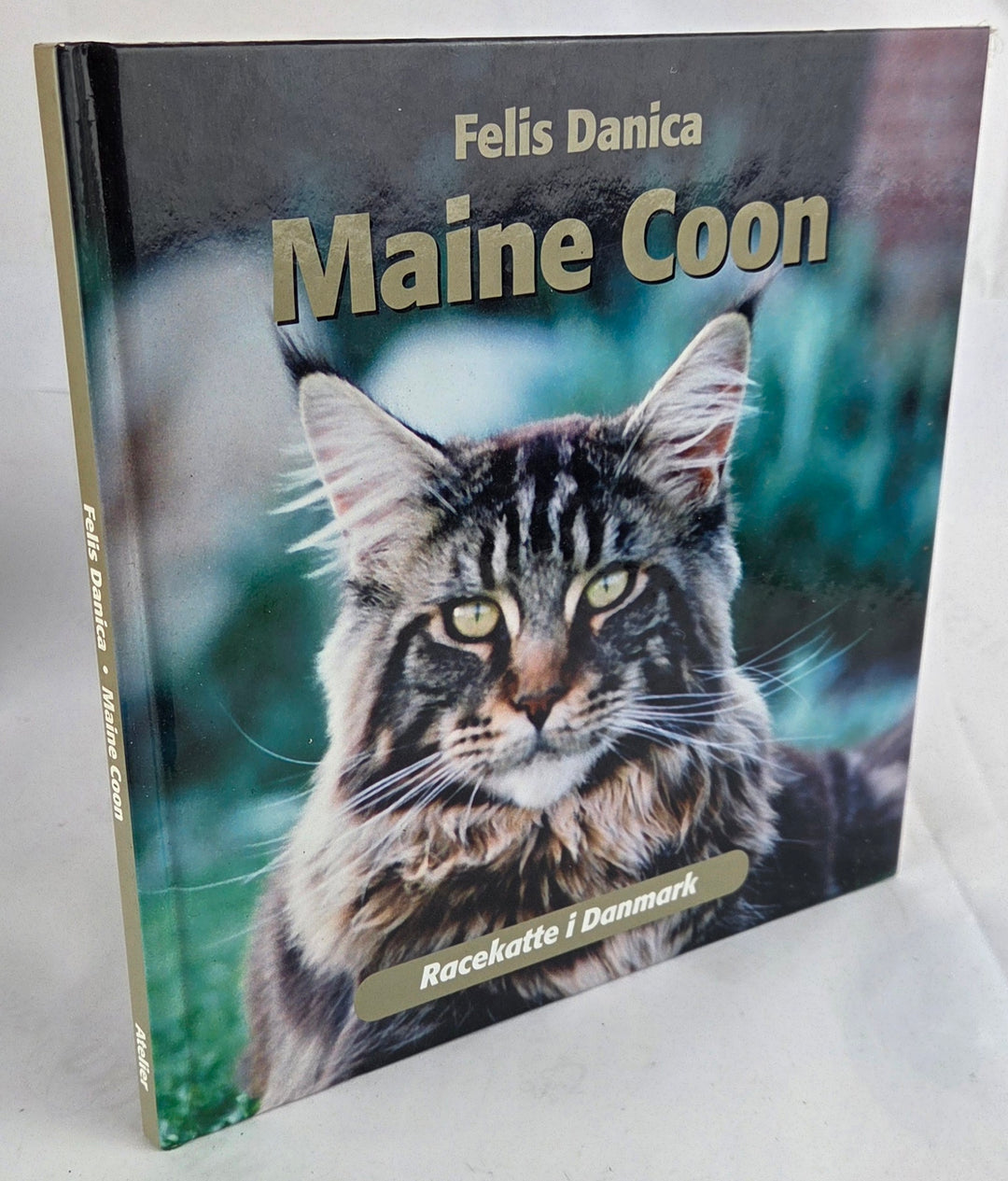 Maine Coon. Racekatte i Danmark