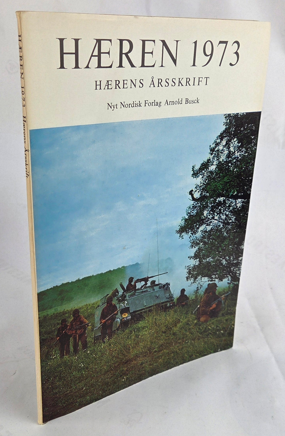 Hæren 1973