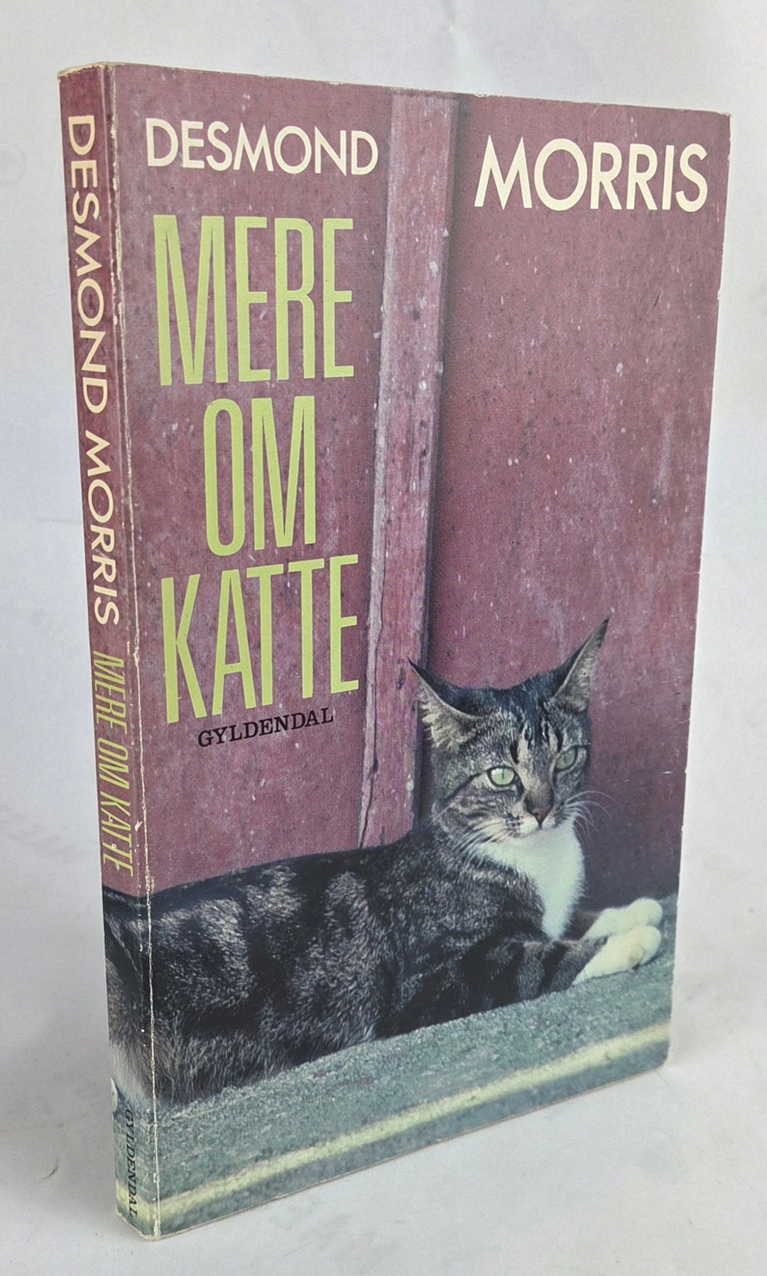 Mere om katte