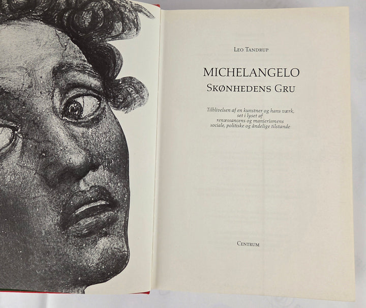 Michelangelo - Skønhedens gru
