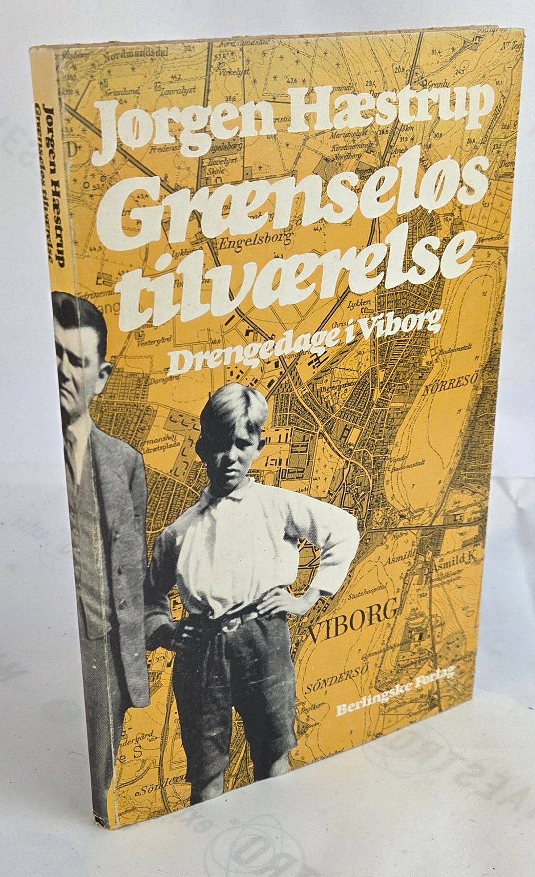 Grænseløs tilværelse. Drengedage i Viborg