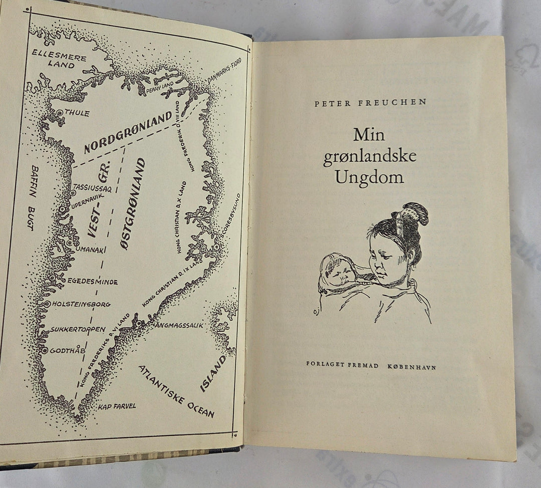 Min grønlandske ungdom