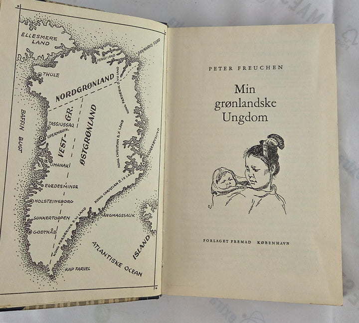 Min grønlandske ungdom