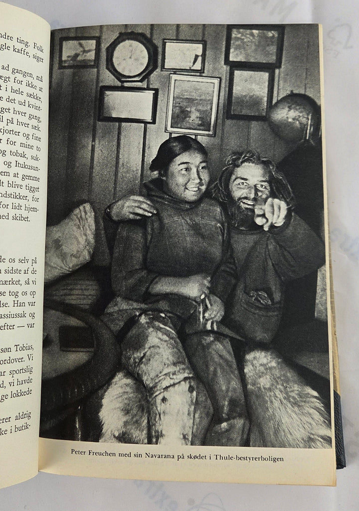 Min grønlandske ungdom