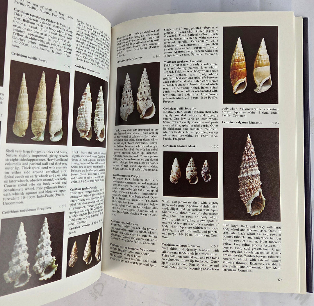 The Collectors Encyclopedia of Shells