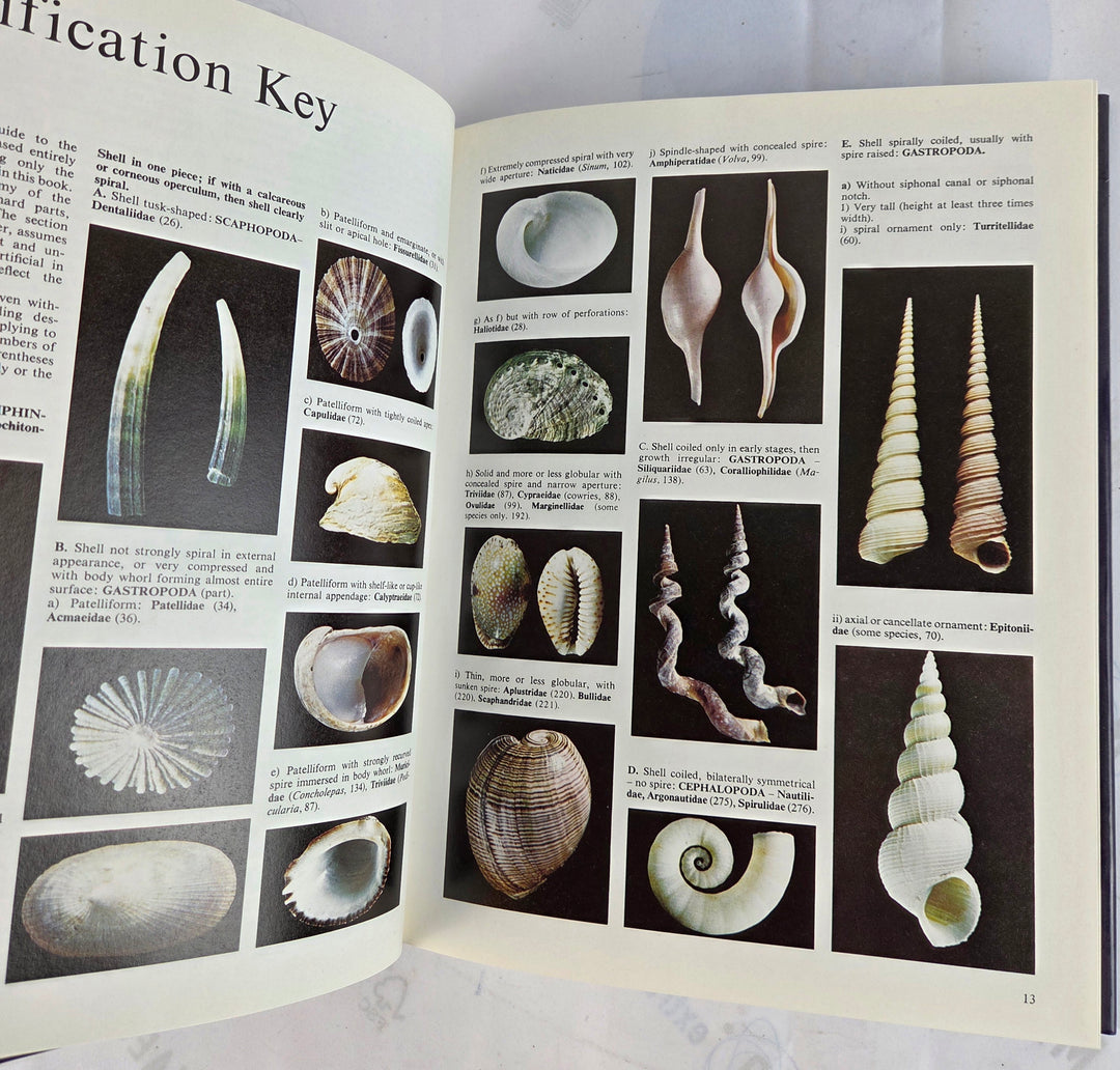 The Collectors Encyclopedia of Shells