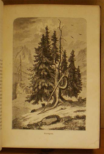 Alperne, billeder af naturen og folkelivet