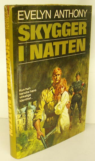 Skygger i natten