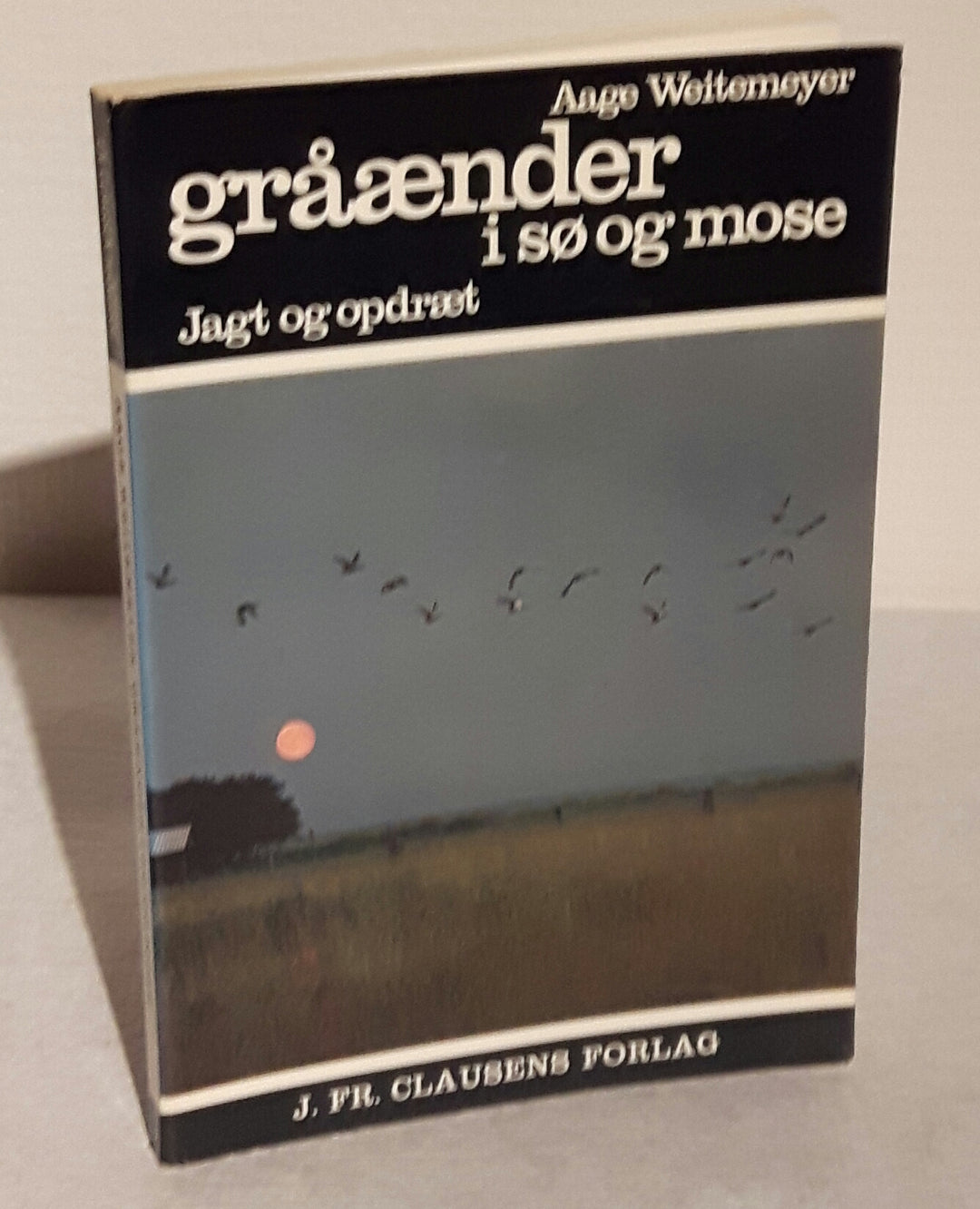 Gråænder i sø og mose