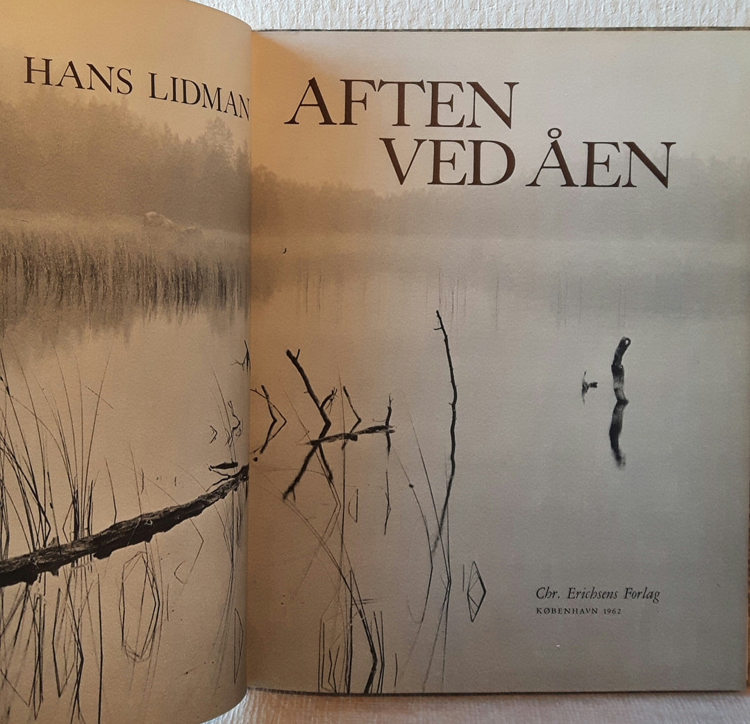 Aften ved åen