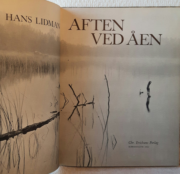 Aften ved åen