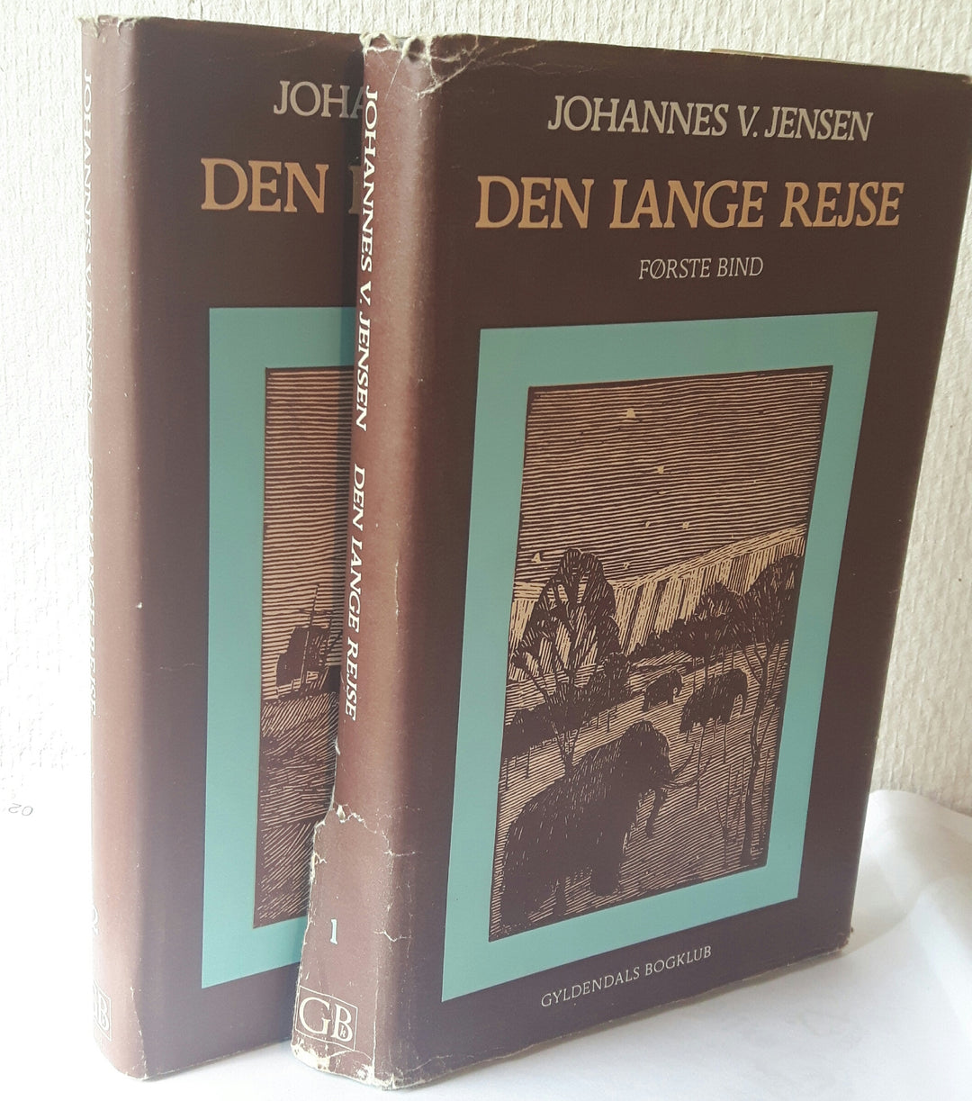 Den lange rejse