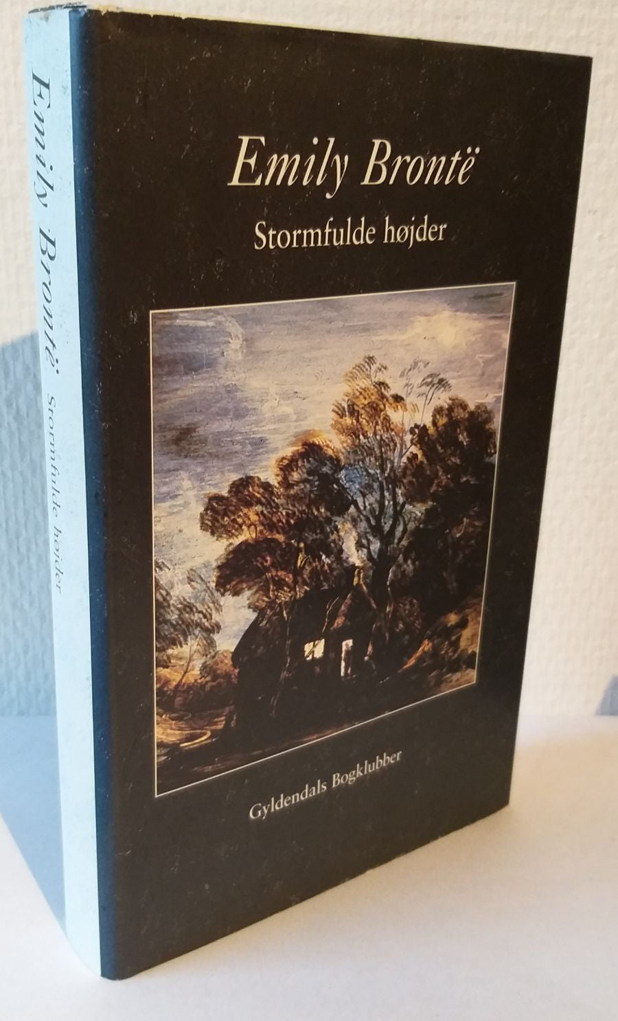 Stormfulde højder