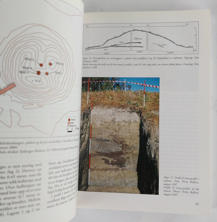 Halvdanshauge
