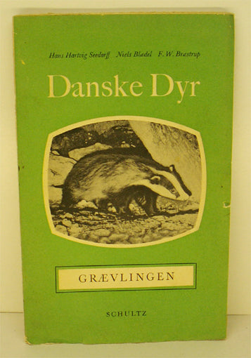 Grævlingen - Danske dyr