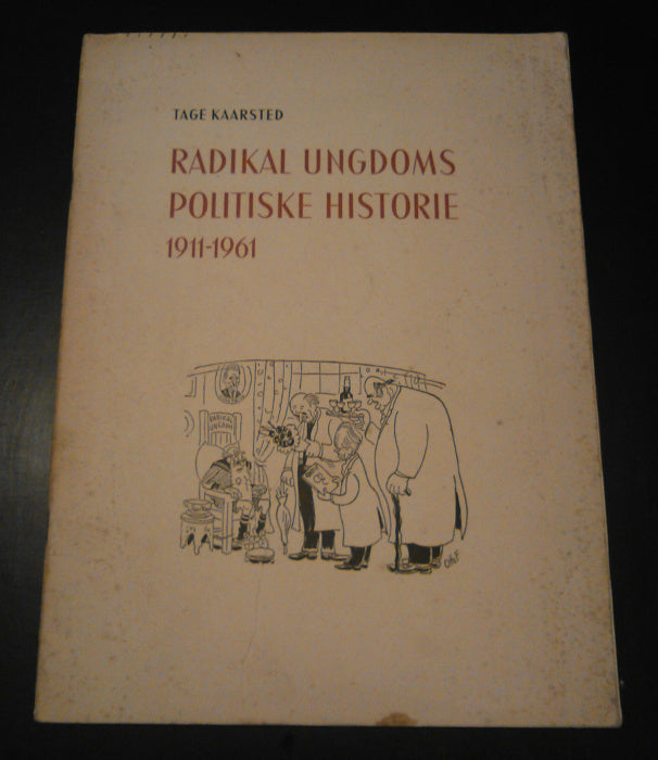 Radikal Ungdoms politiske historie