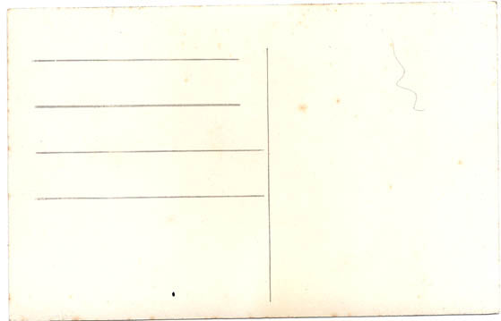 Postkort - Hvalrossen